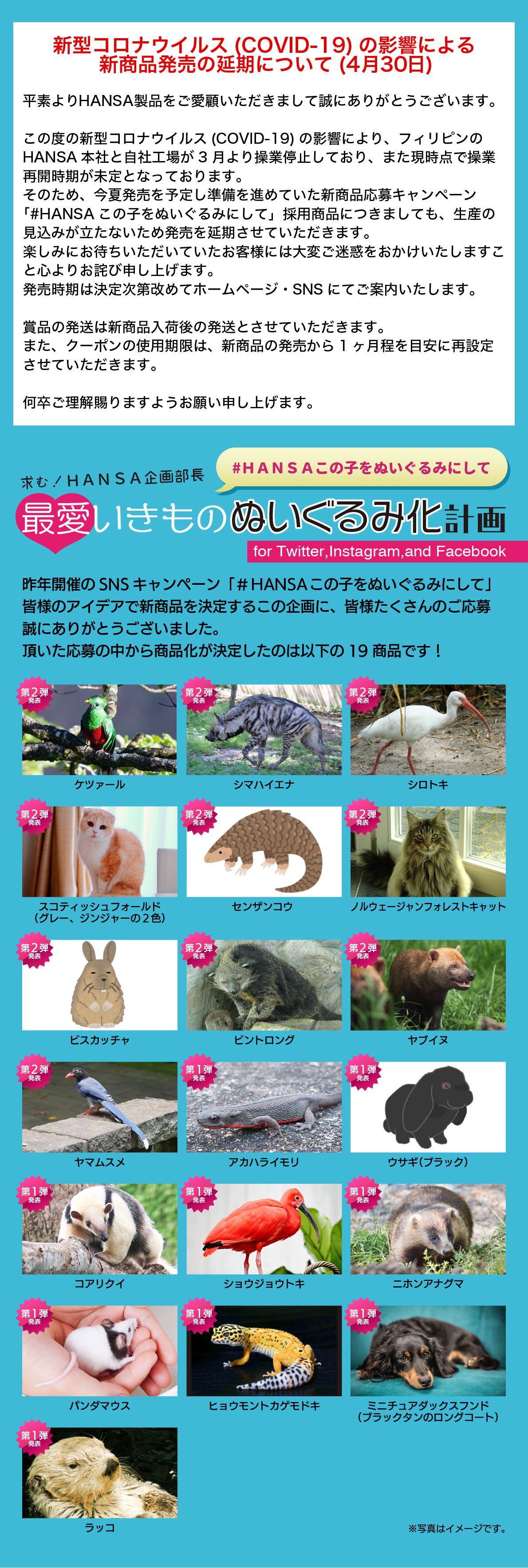 特設ページ