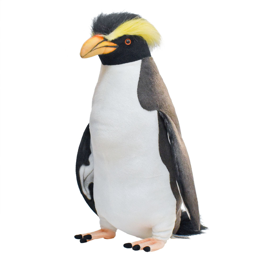 イワトビペンギン 50 | HANSA